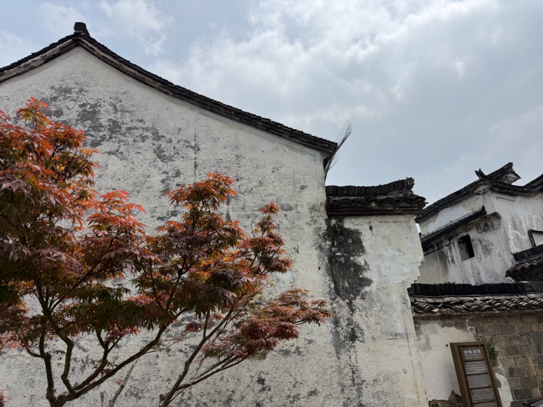 微信图片_2026-05-08_102719_158.png