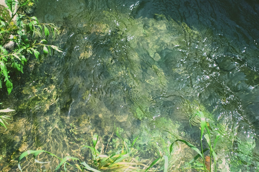 微信图片_2026-05-08_102726_186.png